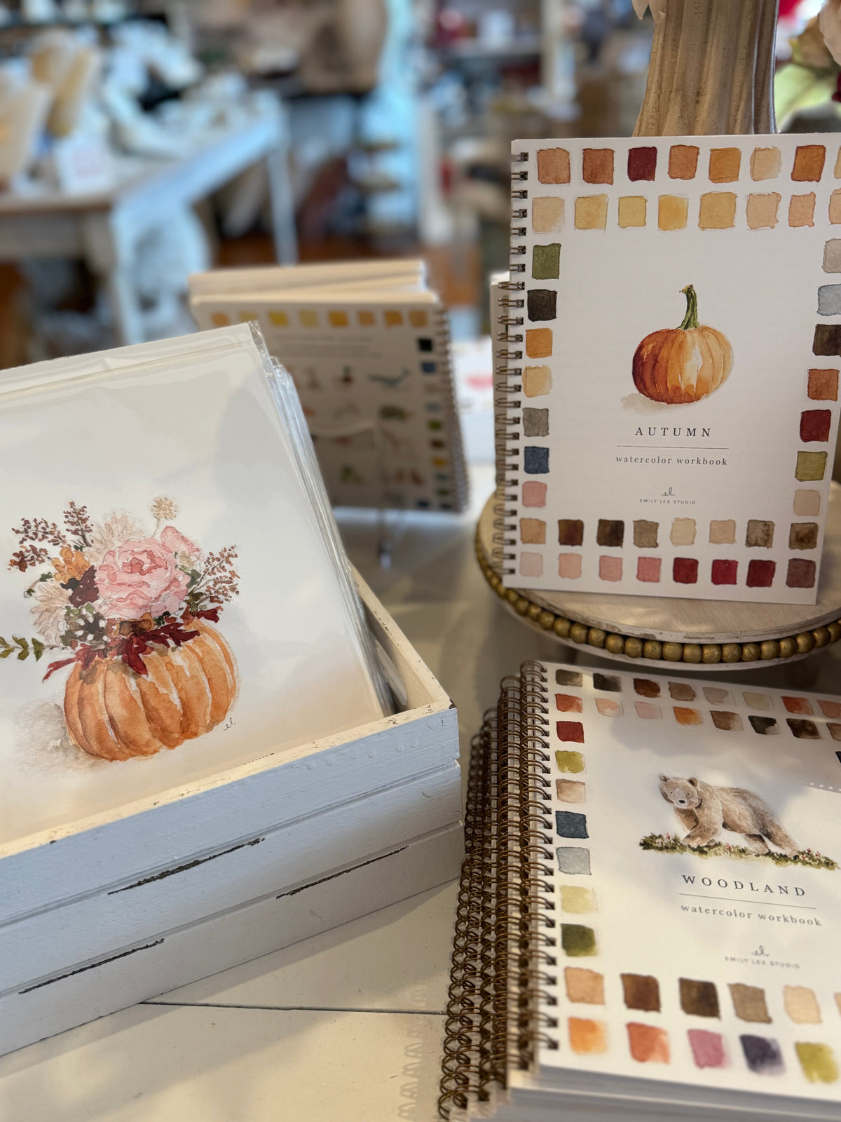 The Art of the Handwritten Note: Your Emily Lex Stationery Guide