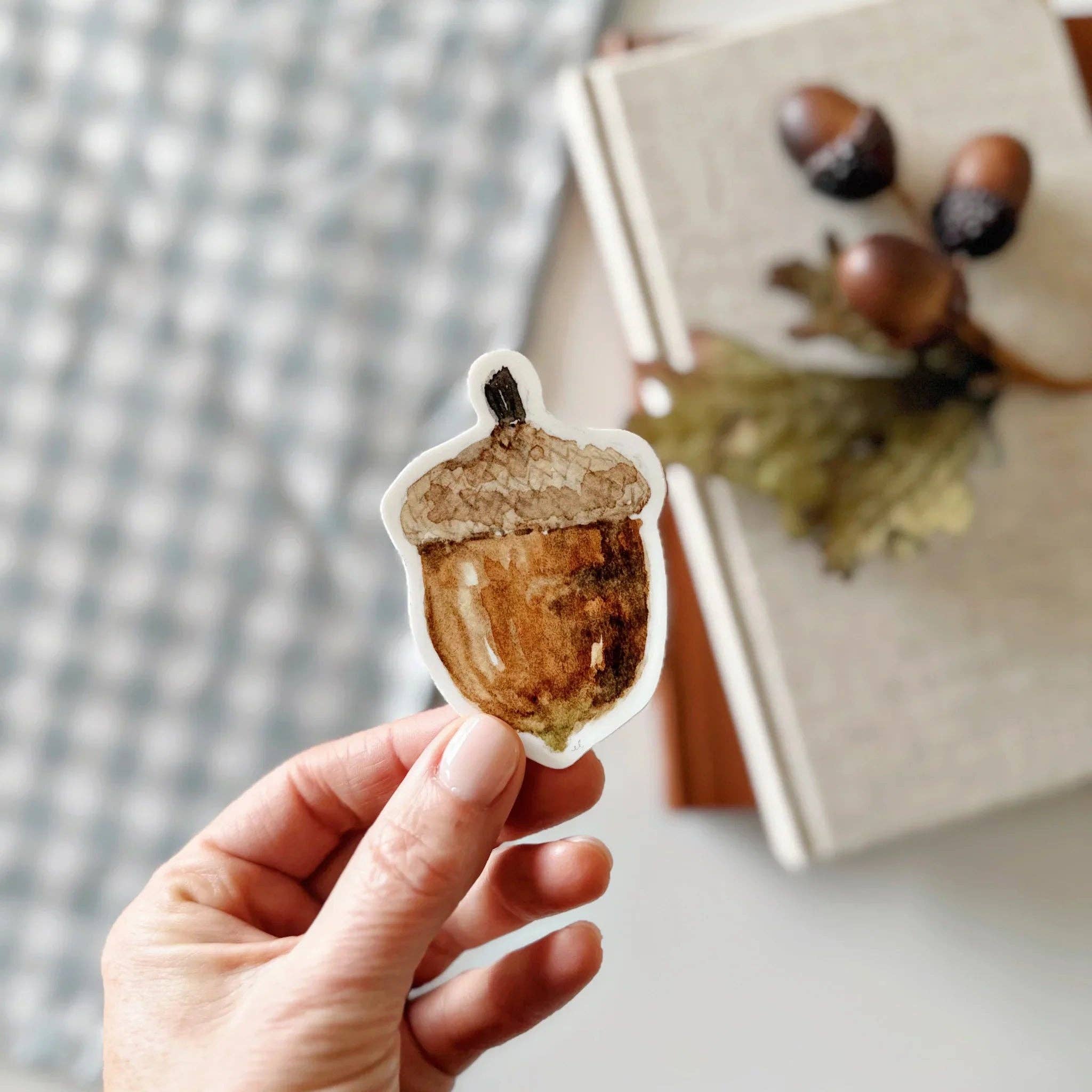 Acorn sticker