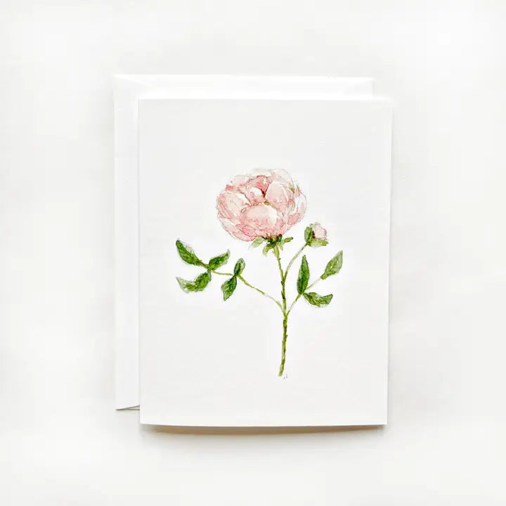 Garden Rose Notecards from emily lex