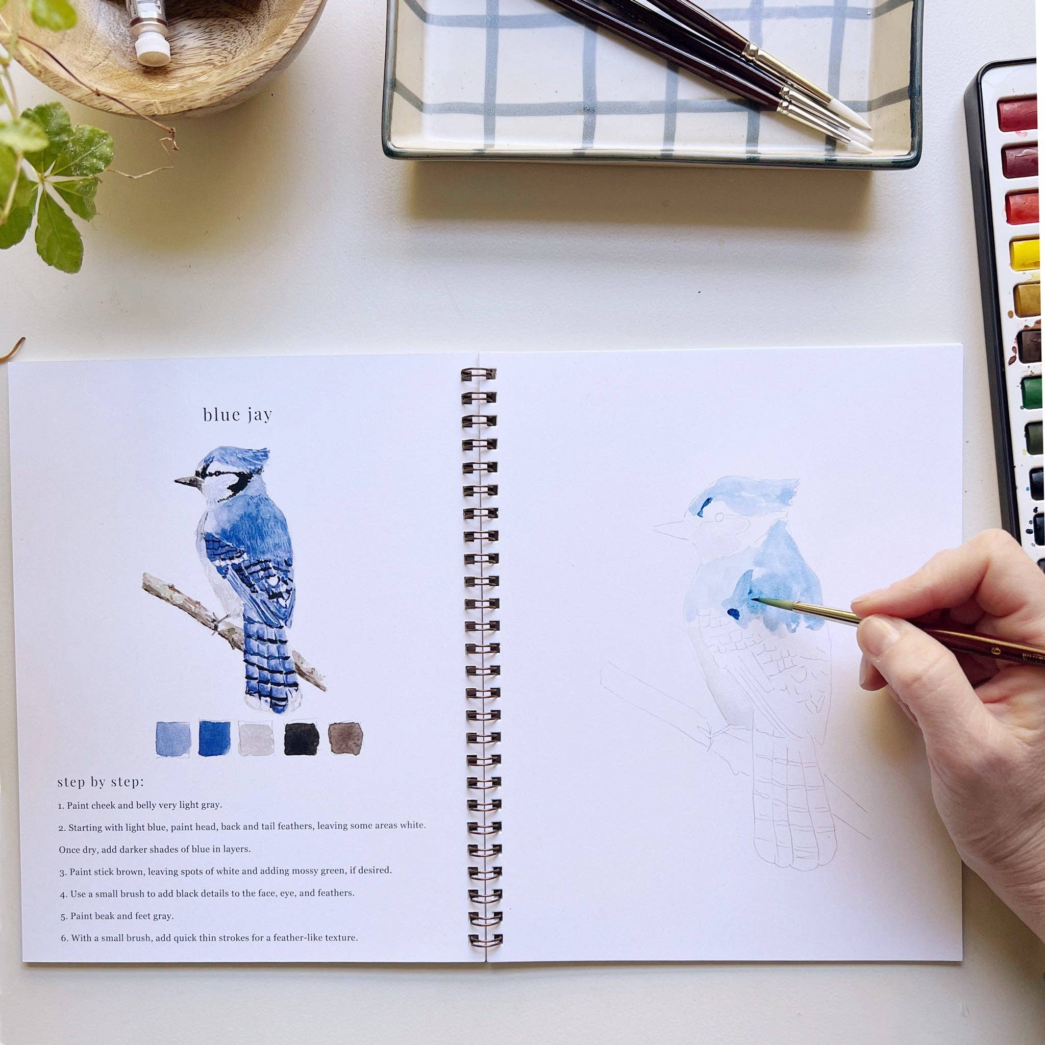 Birds Watercolor Workbook by Emily Lex