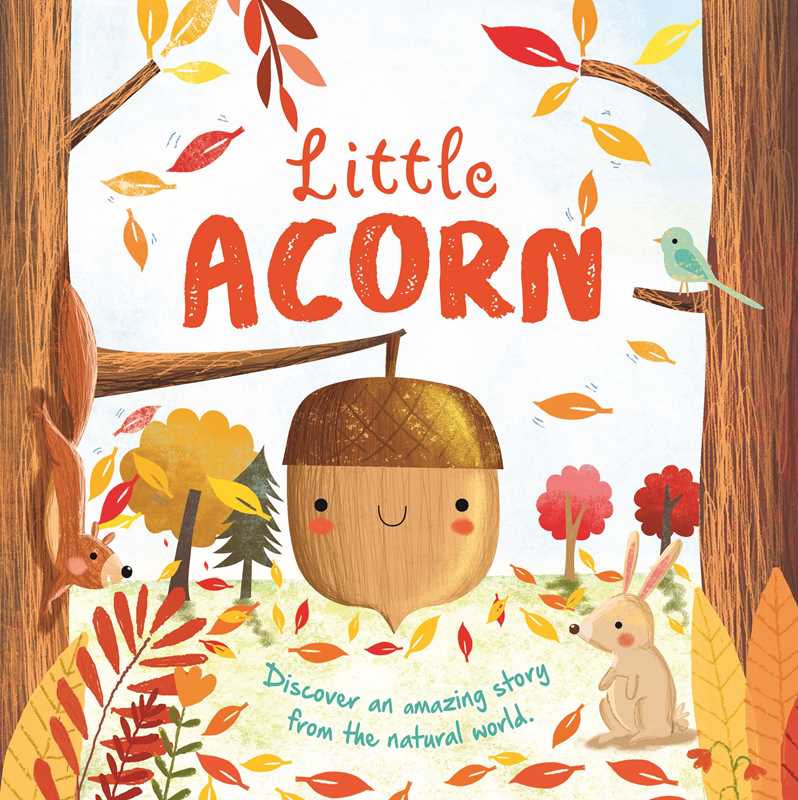Nature Stories: Little Acorn-Discover