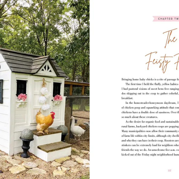 The Grace-Filled Homestead Book