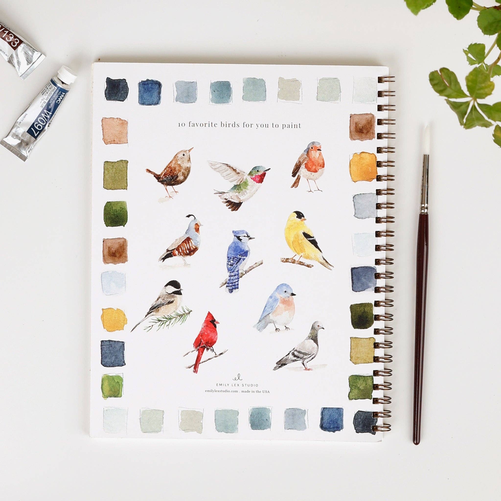 Birds Watercolor Workbook by Emily Lex