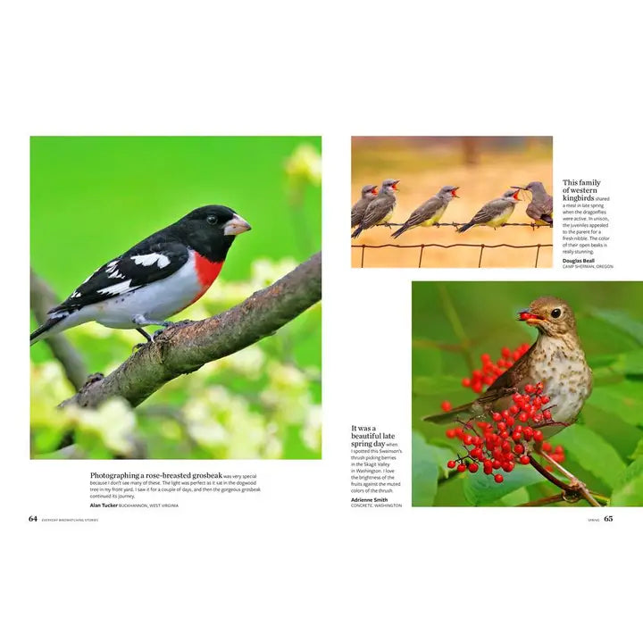 Birds & Blooms Everyday Birdwatching Stories By