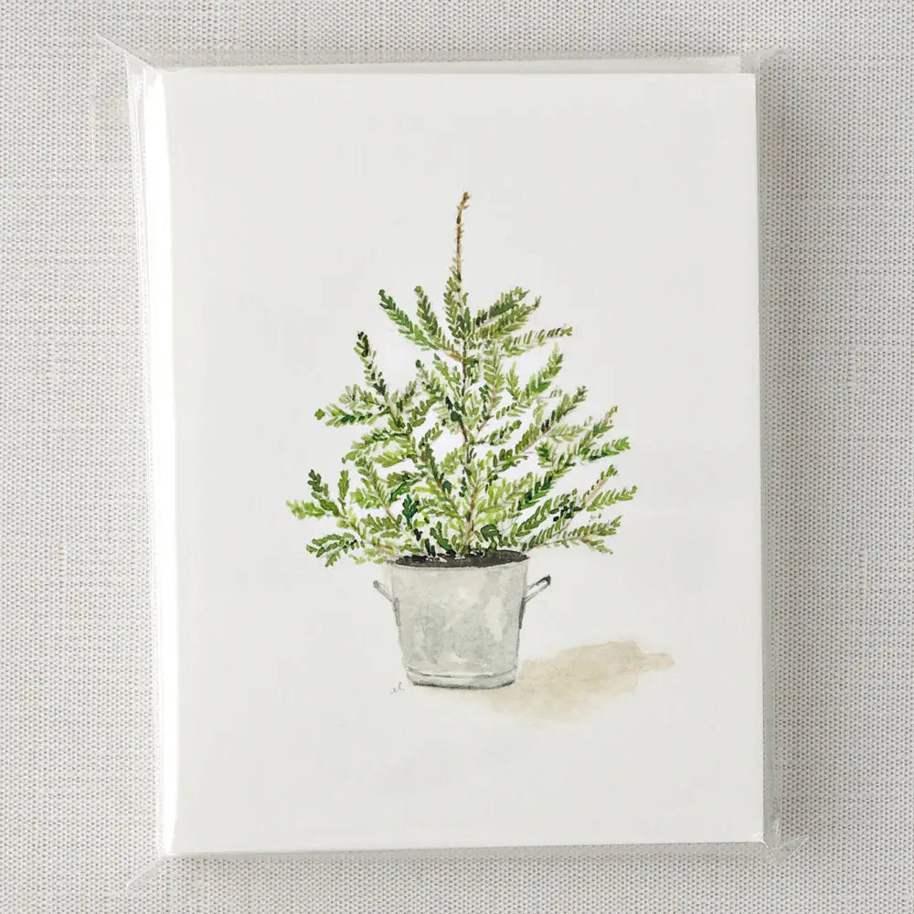 Evergreen Notecard Set