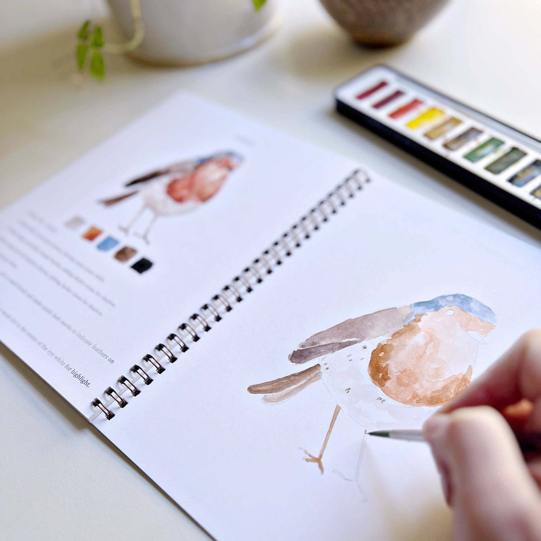 Birds Watercolor Workbook by Emily Lex
