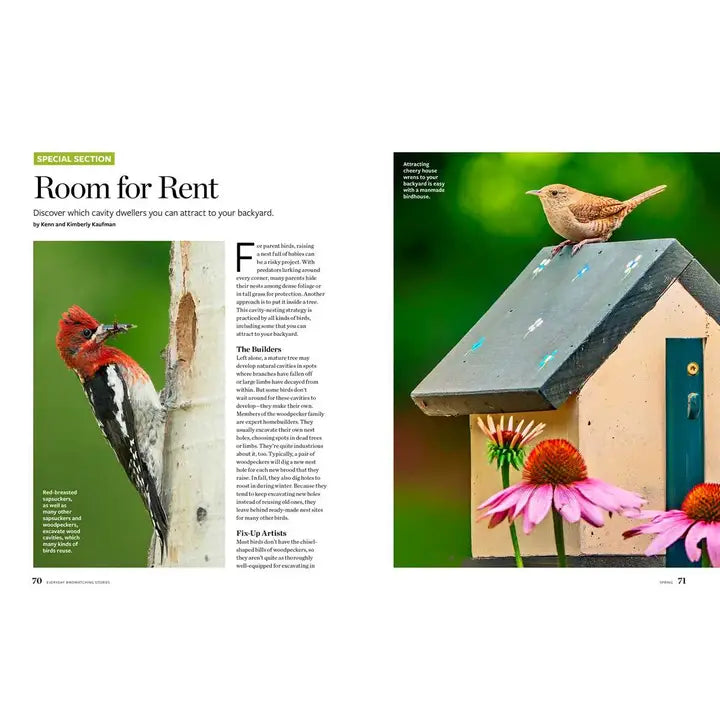 Birds & Blooms Everyday Birdwatching Stories By