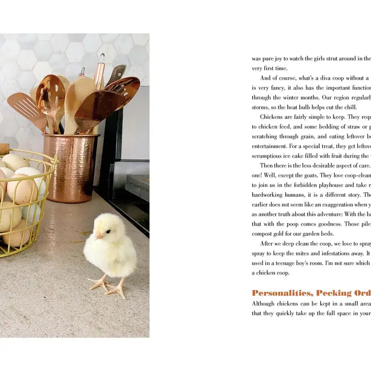 The Grace-Filled Homestead Book