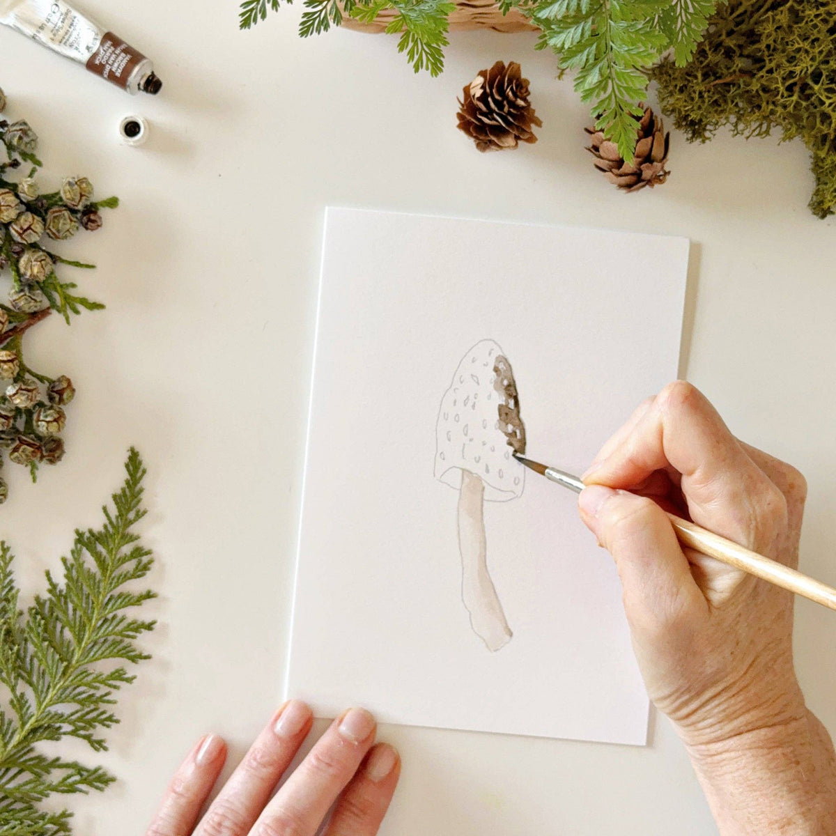Mushrooms paintable watercolor notecard set
