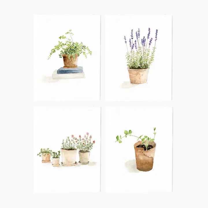 Potted Plants Assorted Notecard Set by Emily Lex