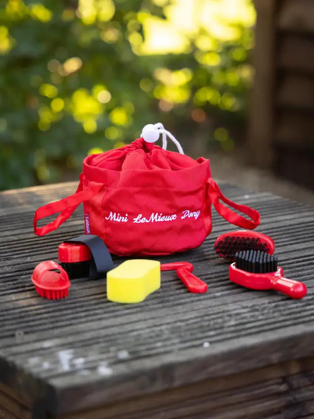 Toy Pony Grooming Kit Chilli