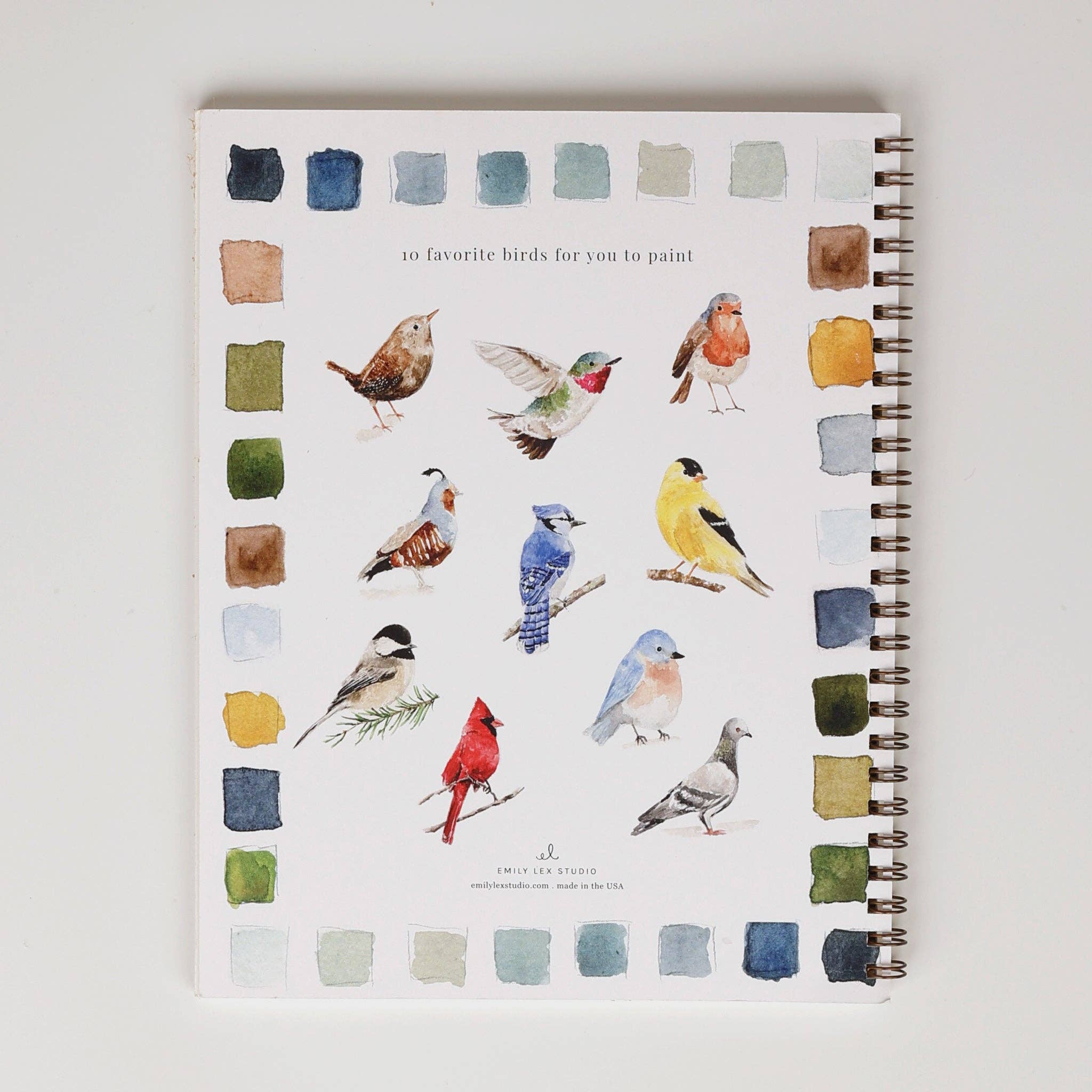 Birds Watercolor Workbook by Emily Lex