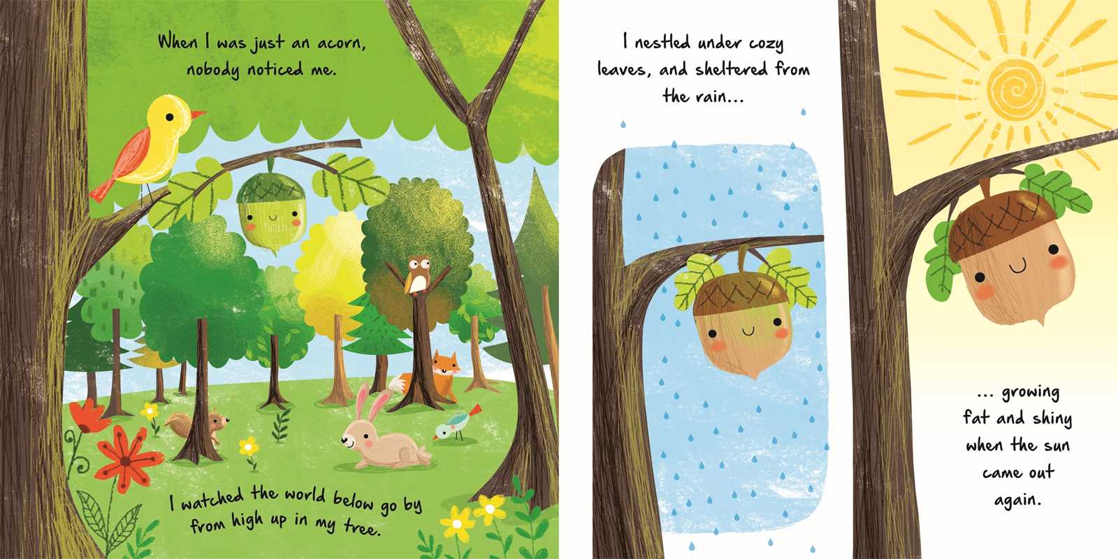 Nature Stories: Little Acorn-Discover