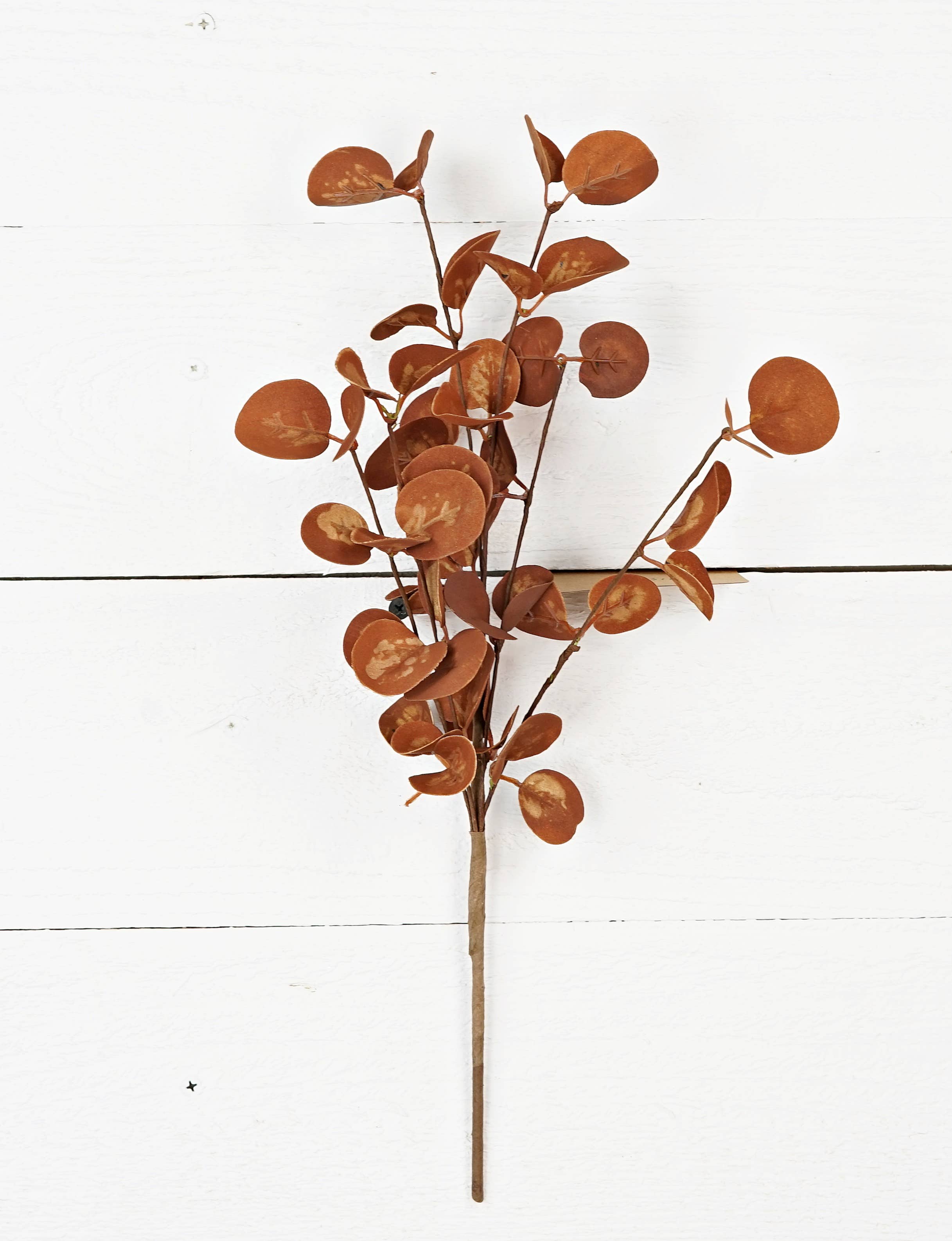 16in Pick-Foamy Silver Dollar Leaves-Coffee