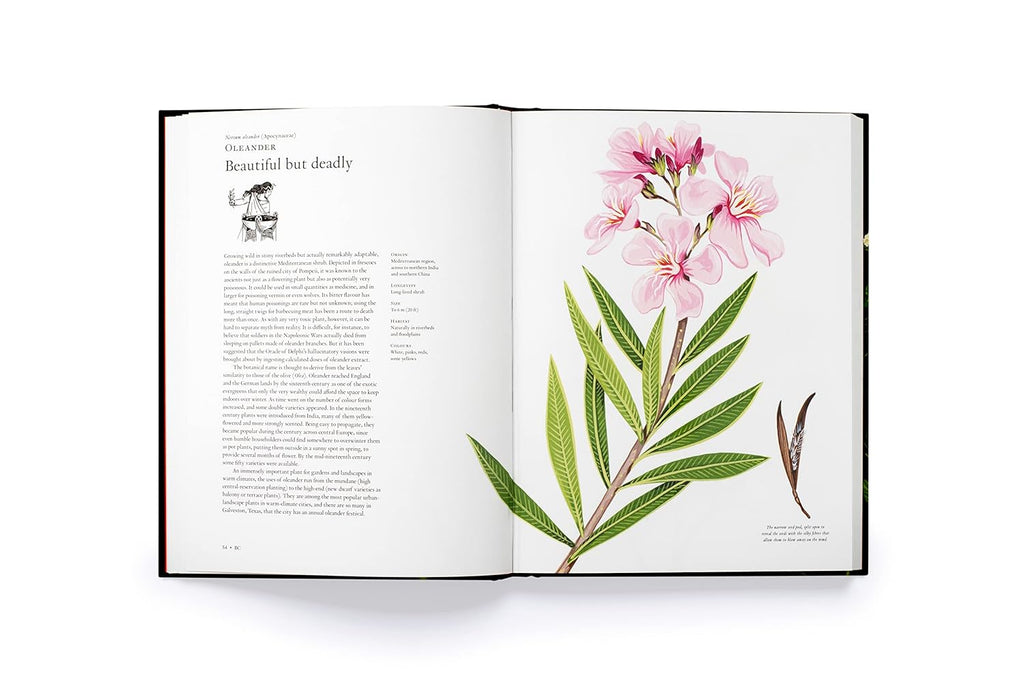 The Story of Flowers Book