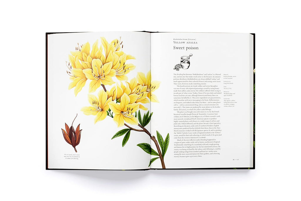 The Story of Flowers Book