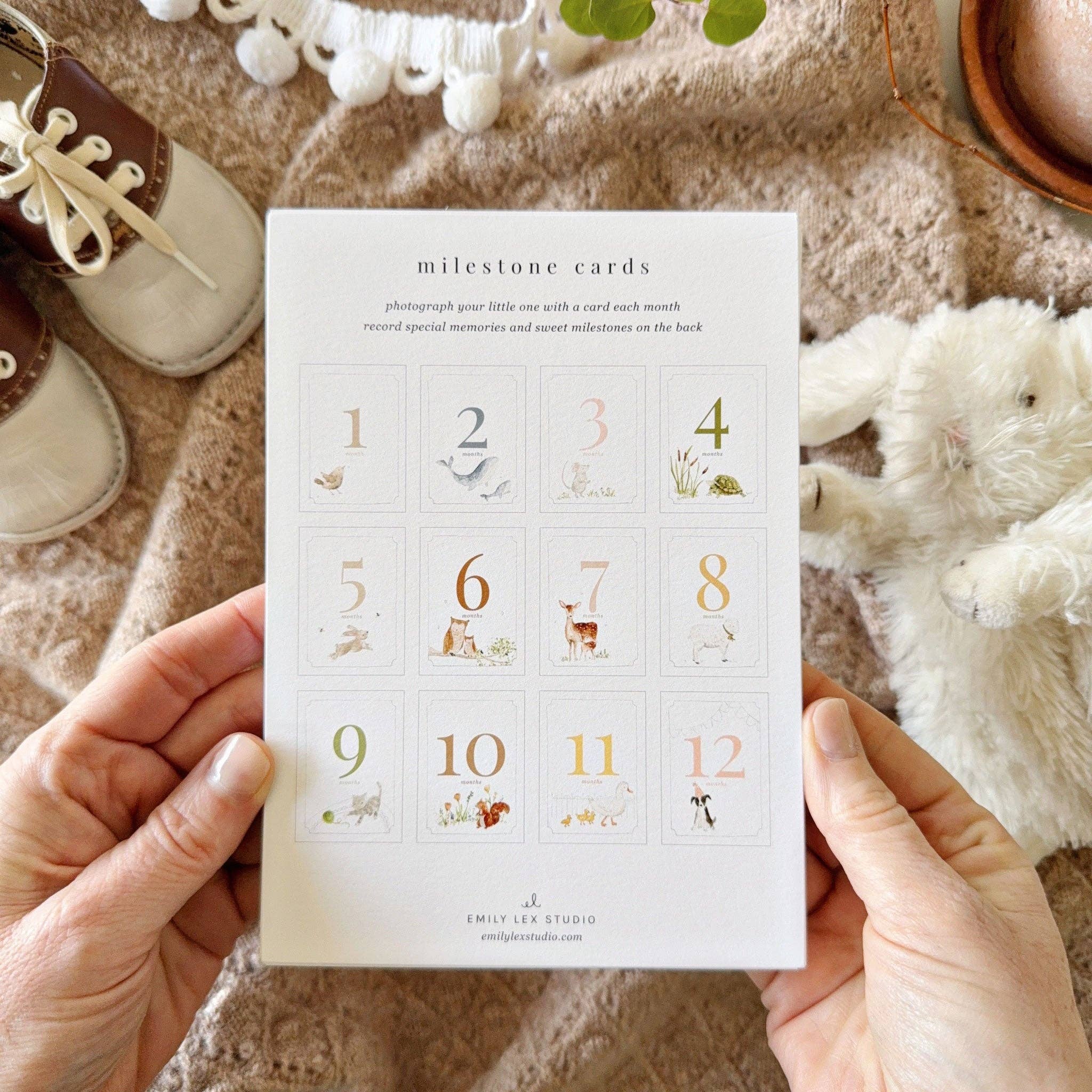 Baby milestone cards
