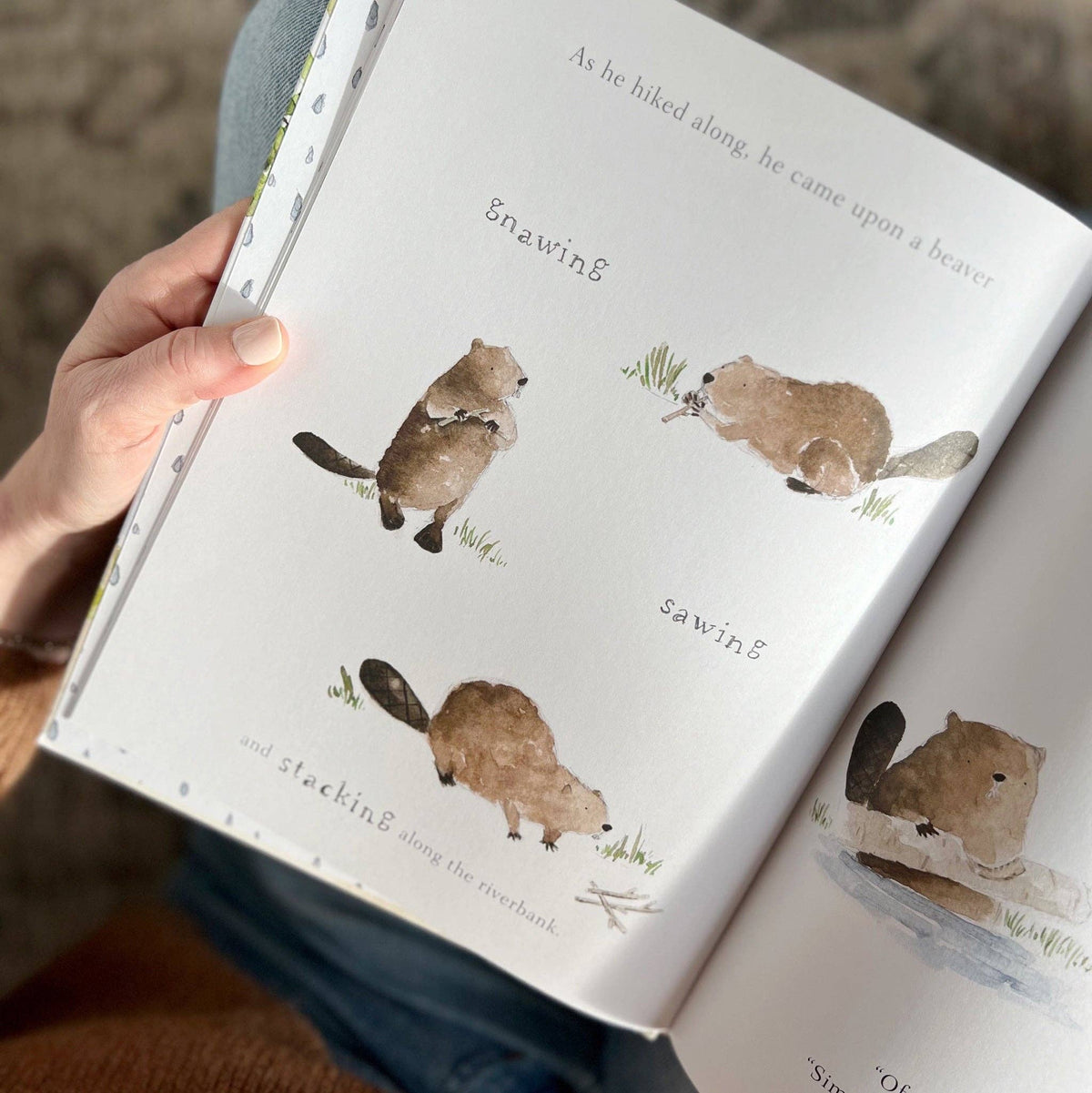 Build Book by Emily Lex