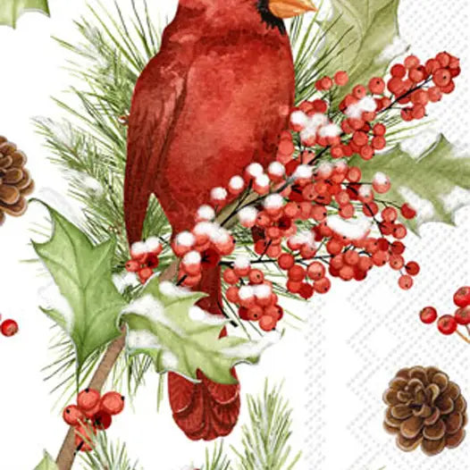 Paper Guest Towels Pk/16 Cardinals in Holly Christmas
