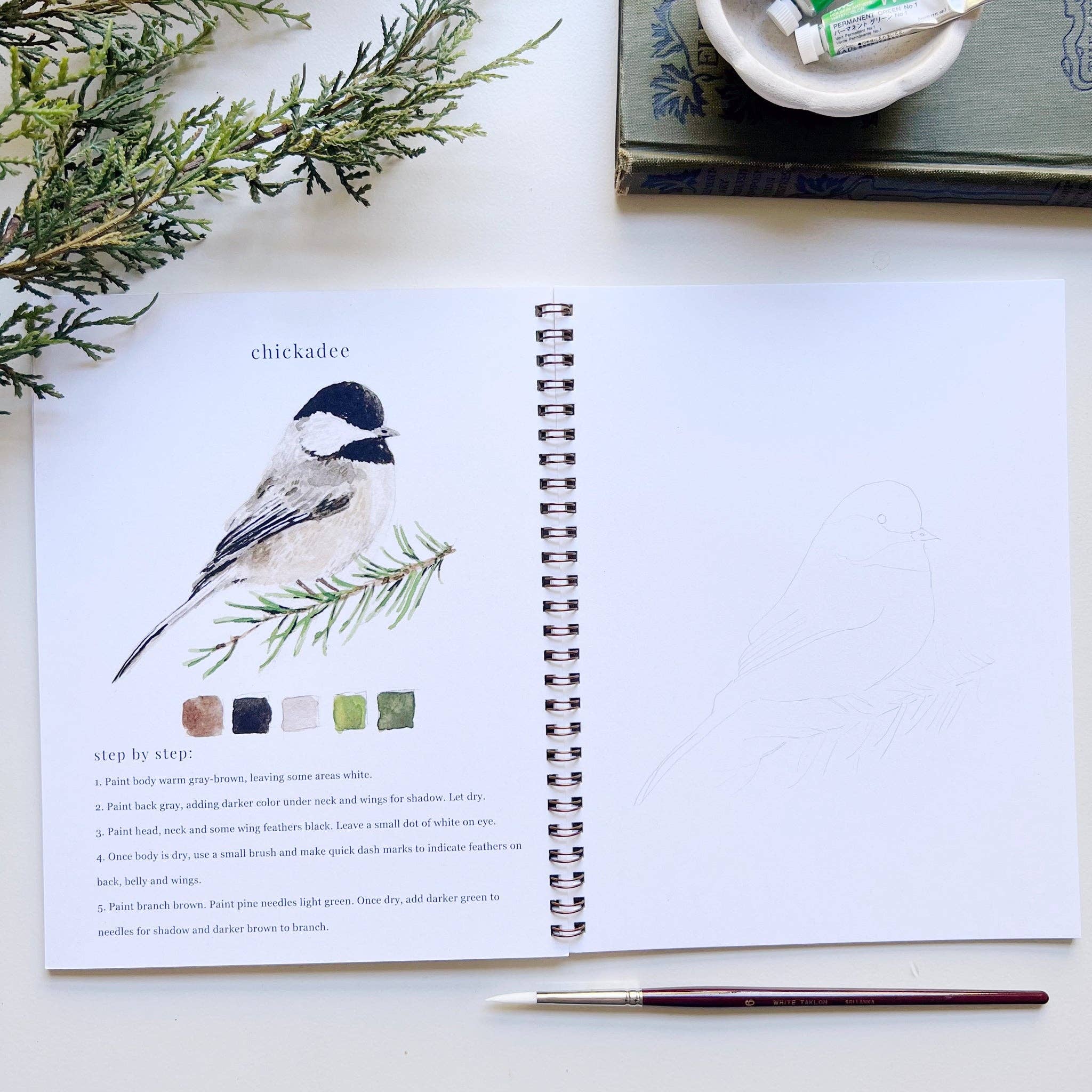 Birds Watercolor Workbook by Emily Lex