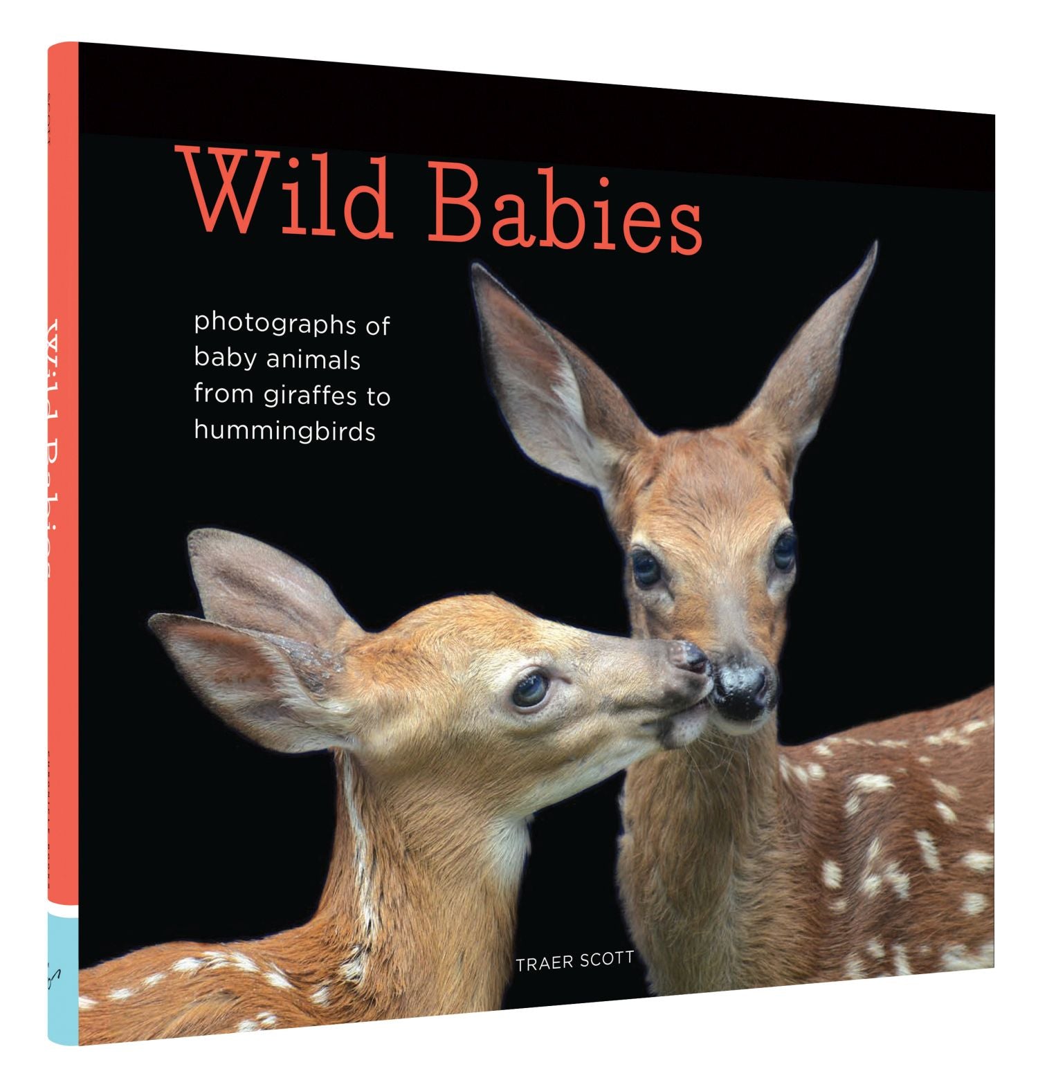 Wild Babies