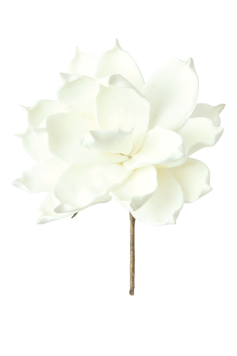 White Bloom Flower Botanica