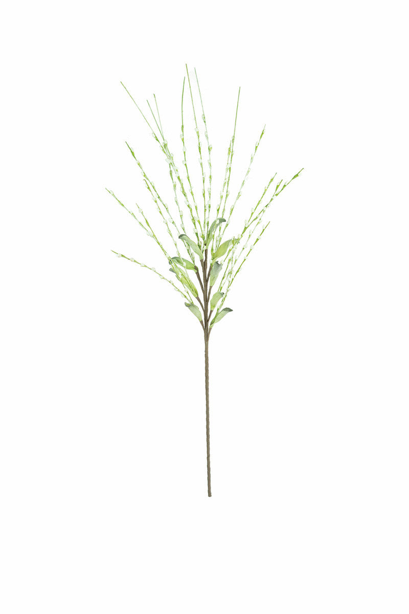 White and Green Botanica