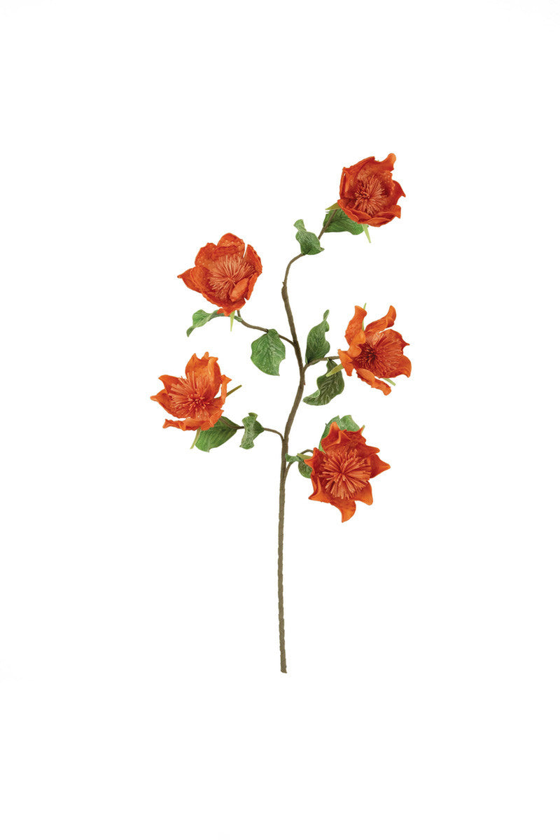Rust Botanica