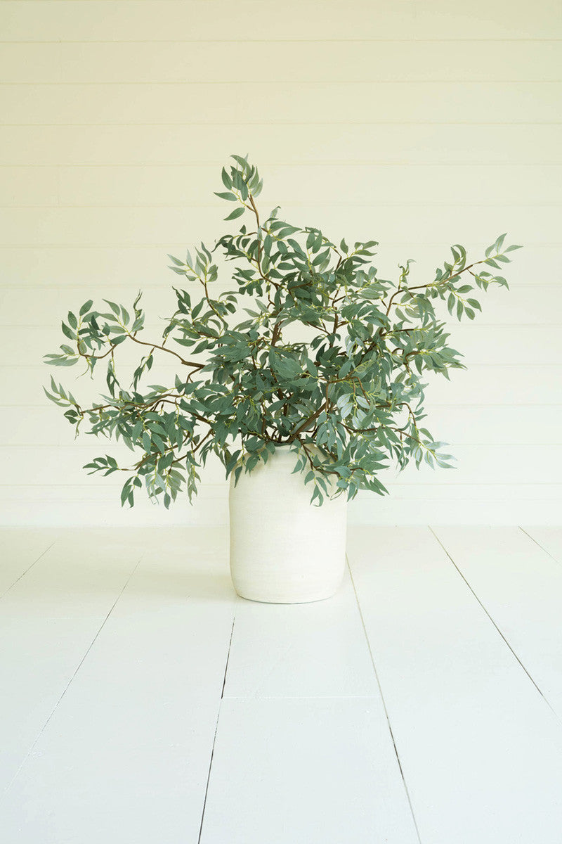 Greenery Botanica