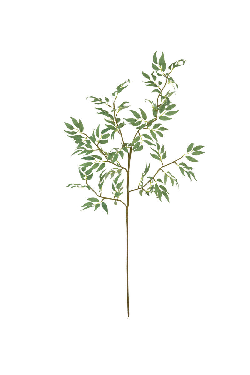 Greenery Botanica