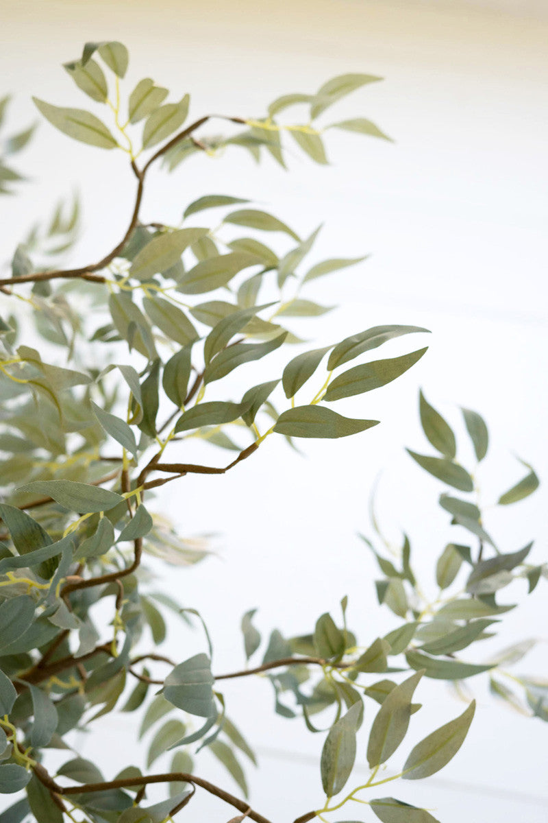 Greenery Botanica