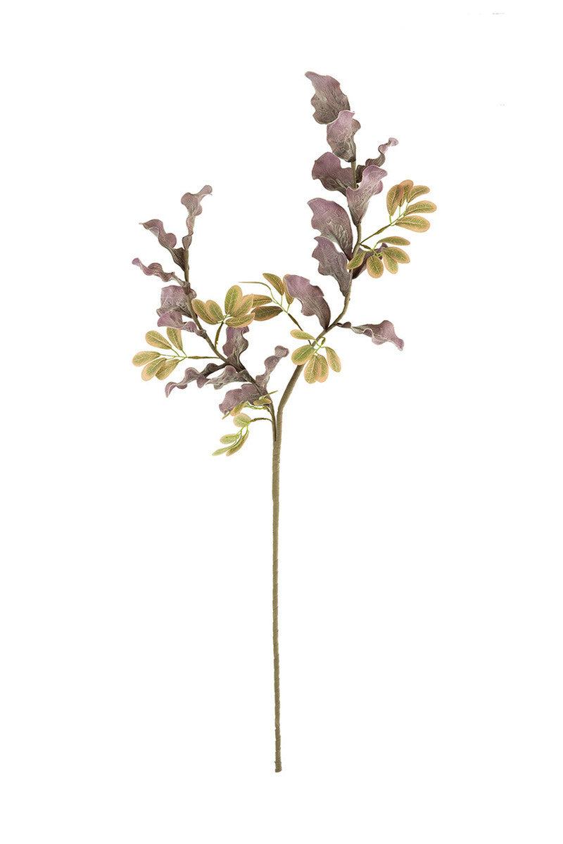 Purple Leaves and Small Green Botanica