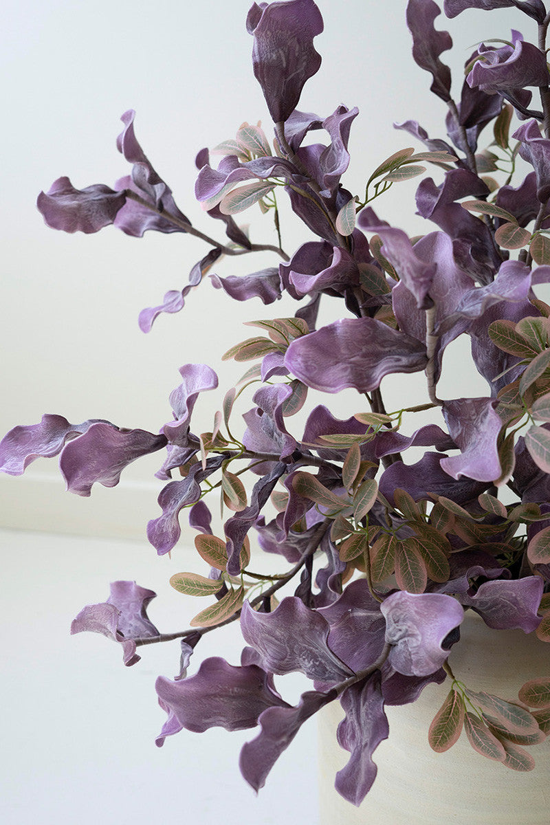 Purple Leaves and Small Green Botanica