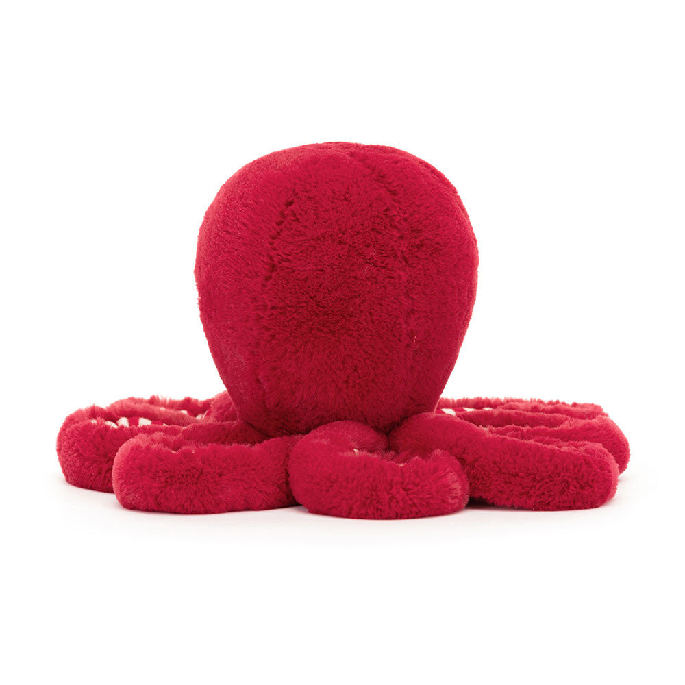 Little Cranberry Octopus