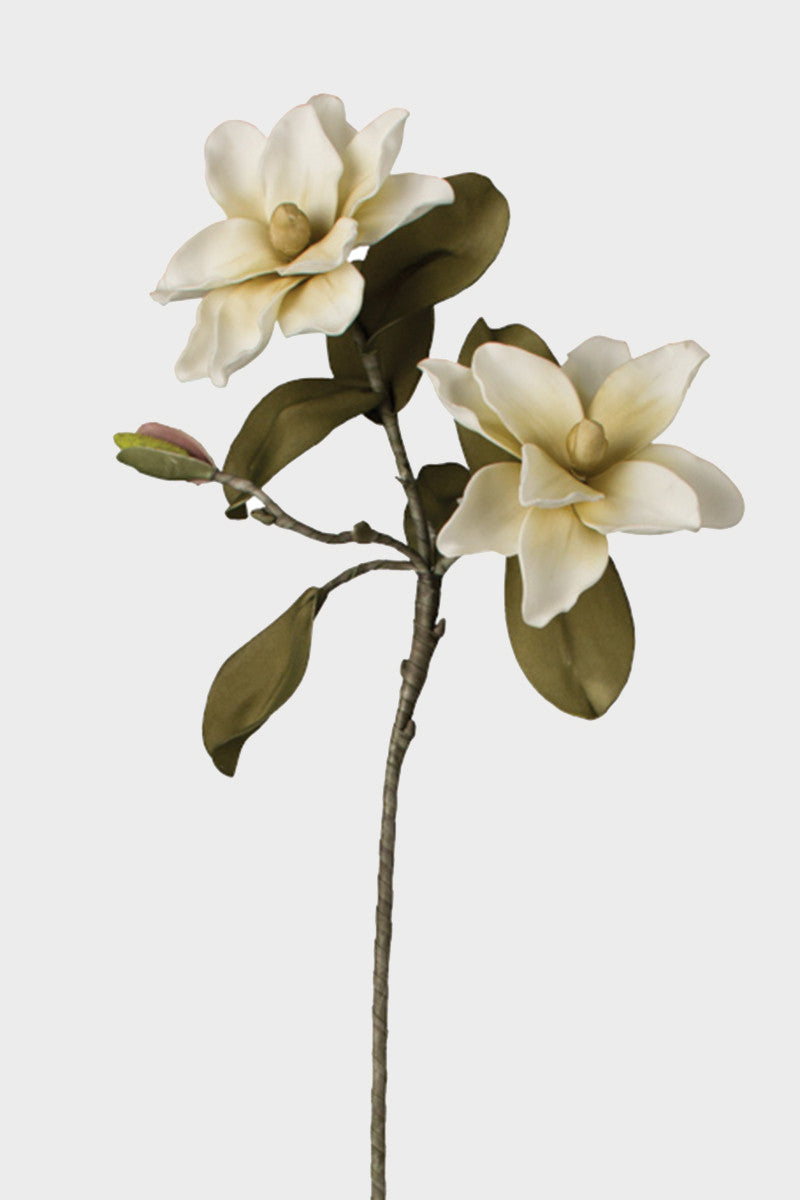 White Flower with Magnolia Stems Botanica