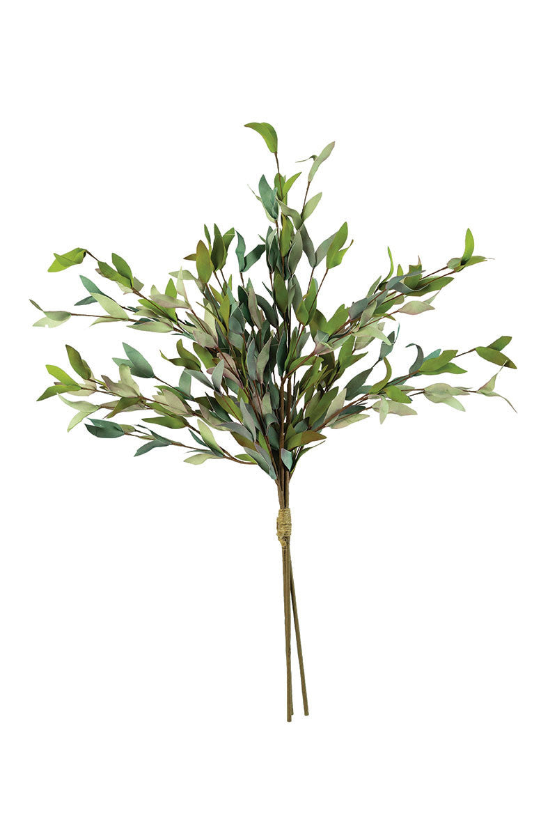 Green Leaf Botanica
