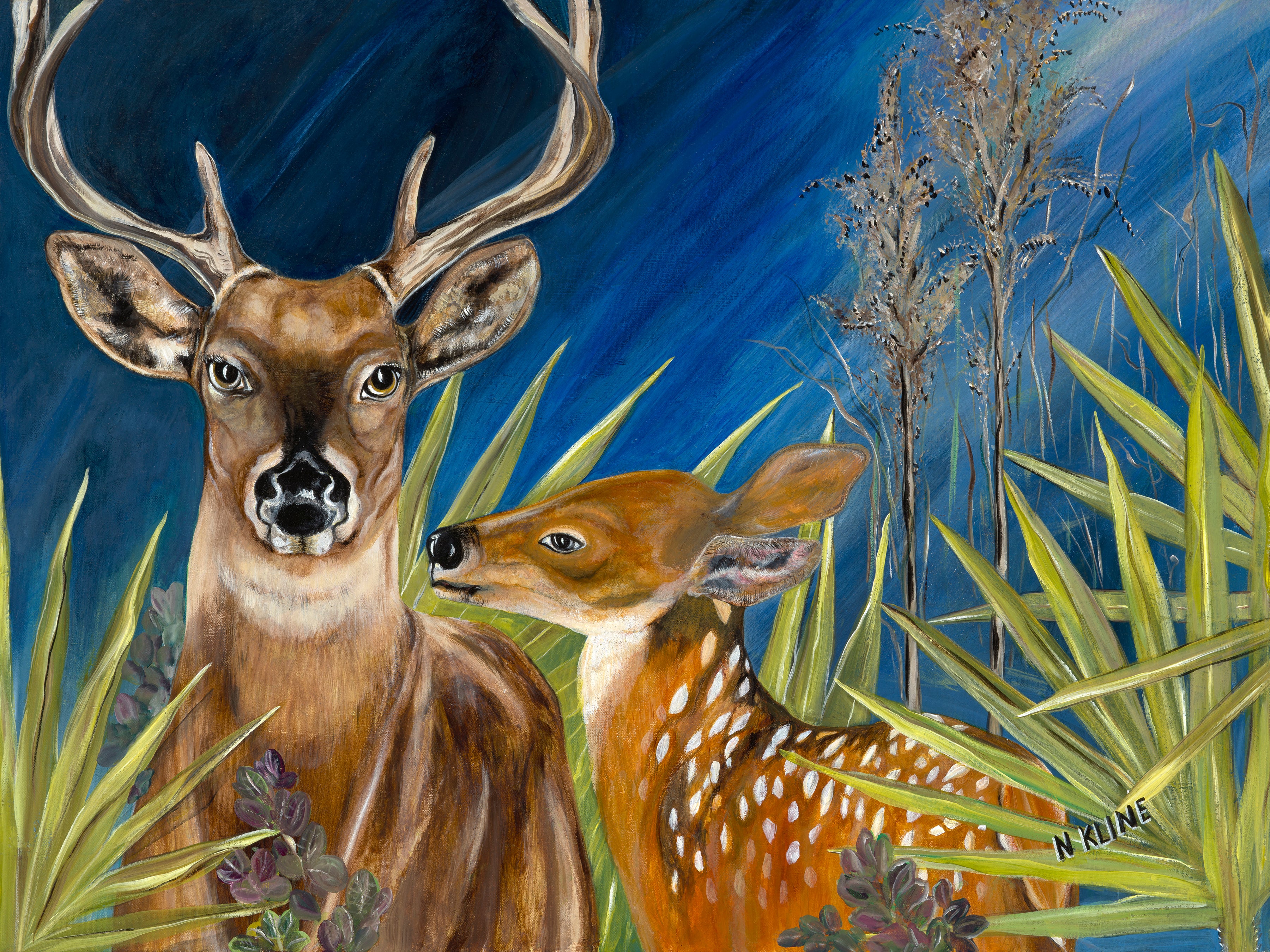 Deer - Giclee Canvas Print