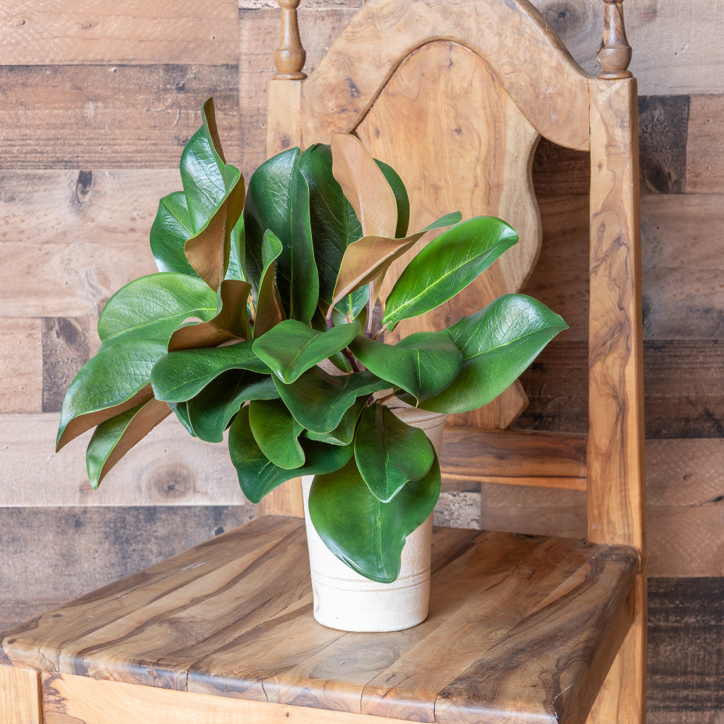 MAGNOLIA LEAF SPRAY - 16 INCH