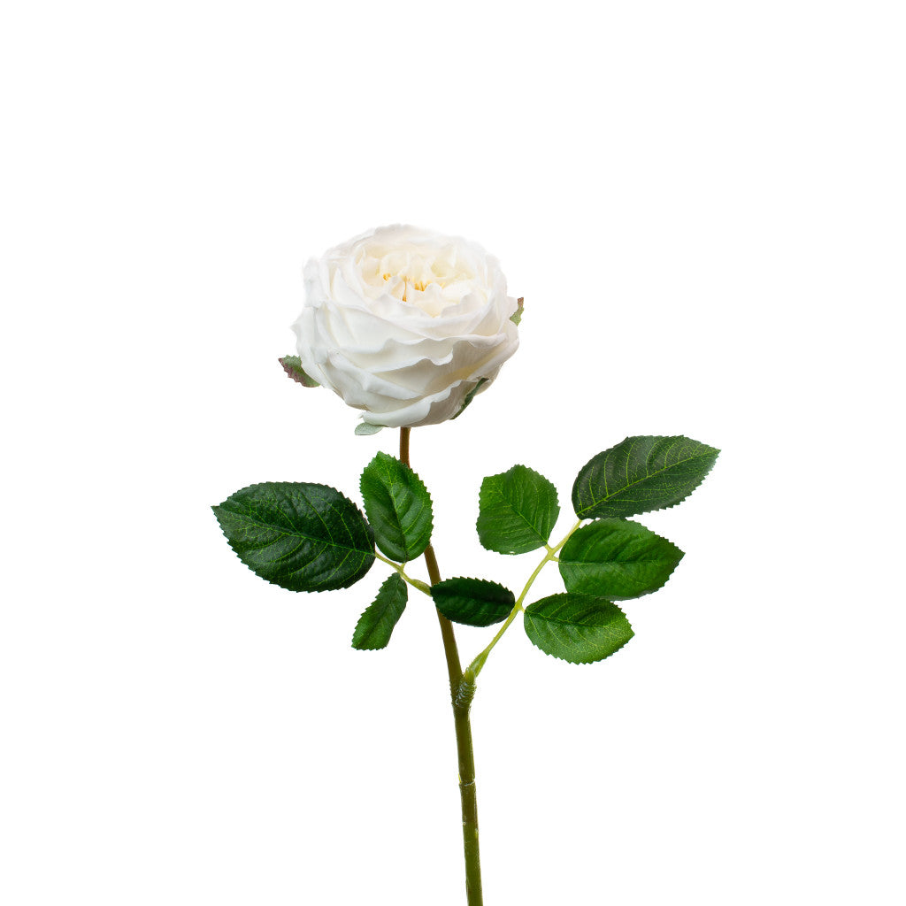 REAL TOUCH WHITE 17" ENGLISH ROSE