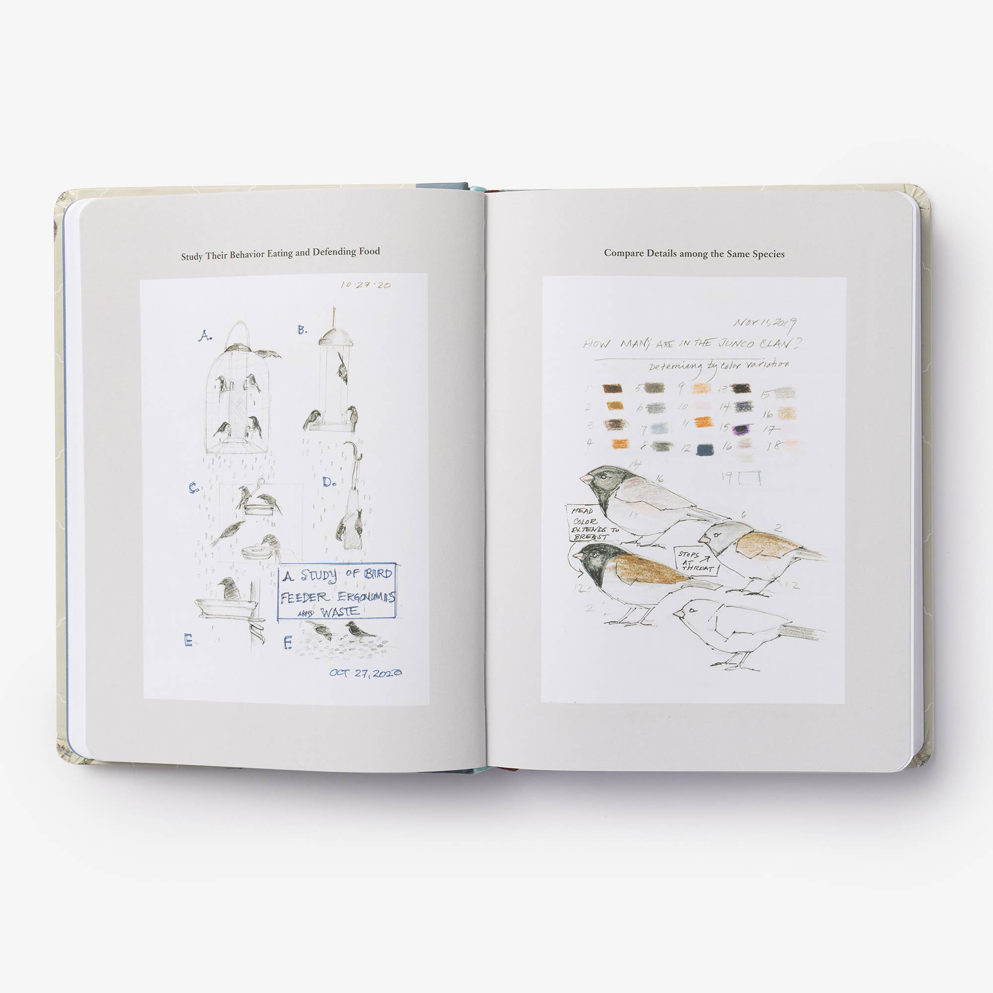 Backyard Bird Journal