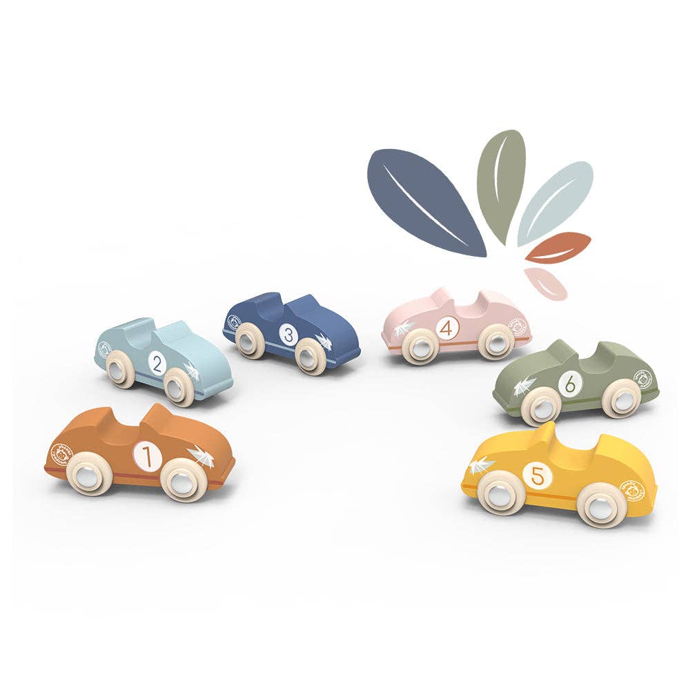 Racing Cars