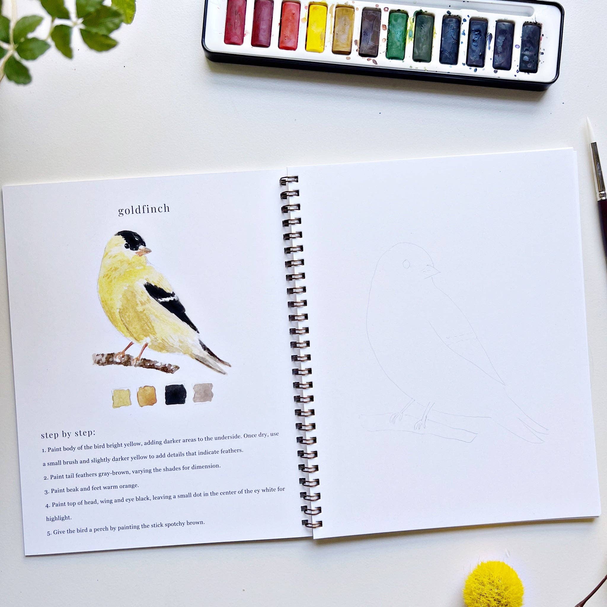 Birds Watercolor Workbook by Emily Lex