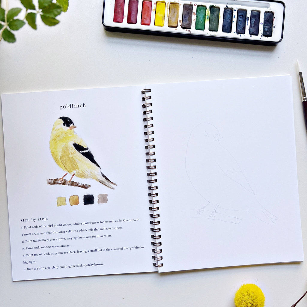 Birds Watercolor Workbook by emily lex