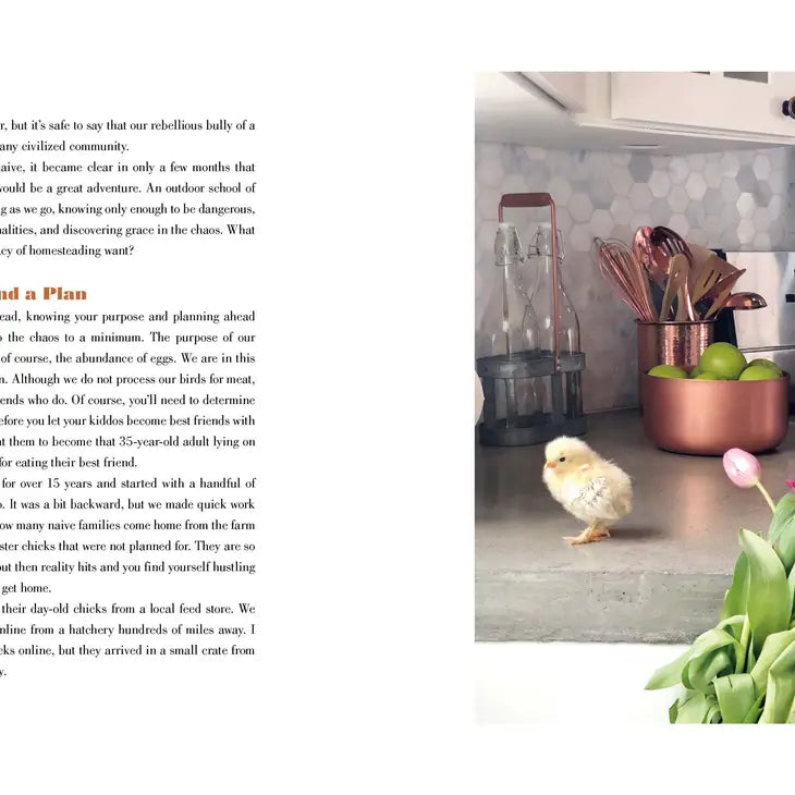 The Grace-Filled Homestead Book