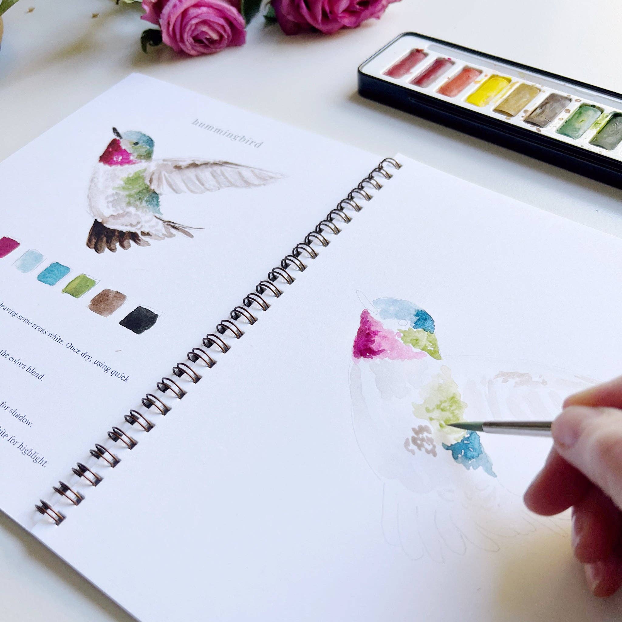 Birds Watercolor Workbook by Emily Lex