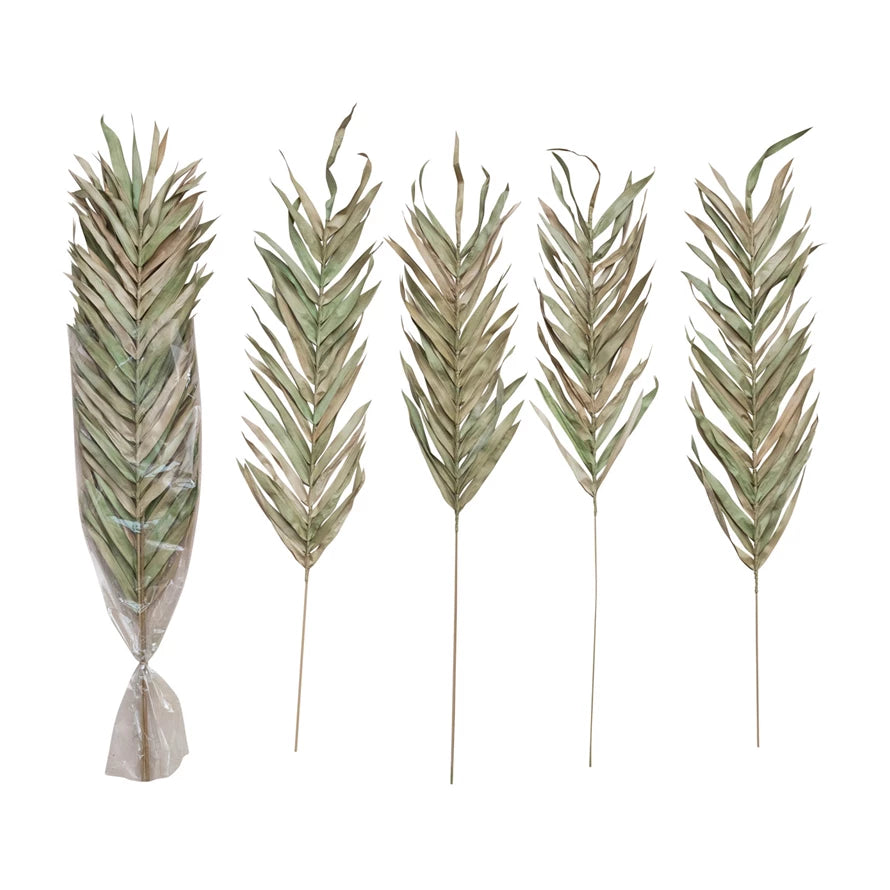 Dried Natural Fountain Palm Bunch, Sage Color