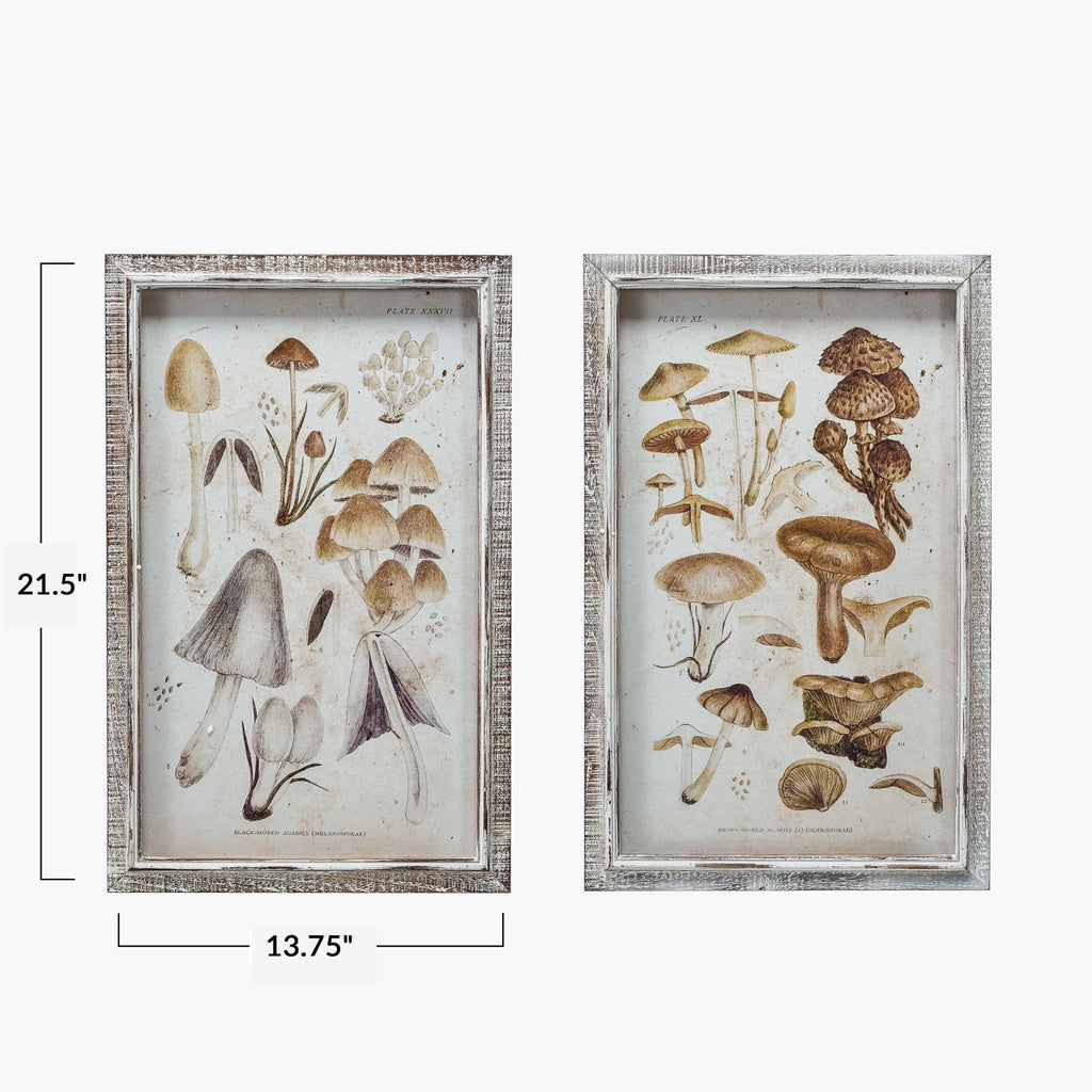 Wood Framed Glass Wall Décor with Mushrooms Print