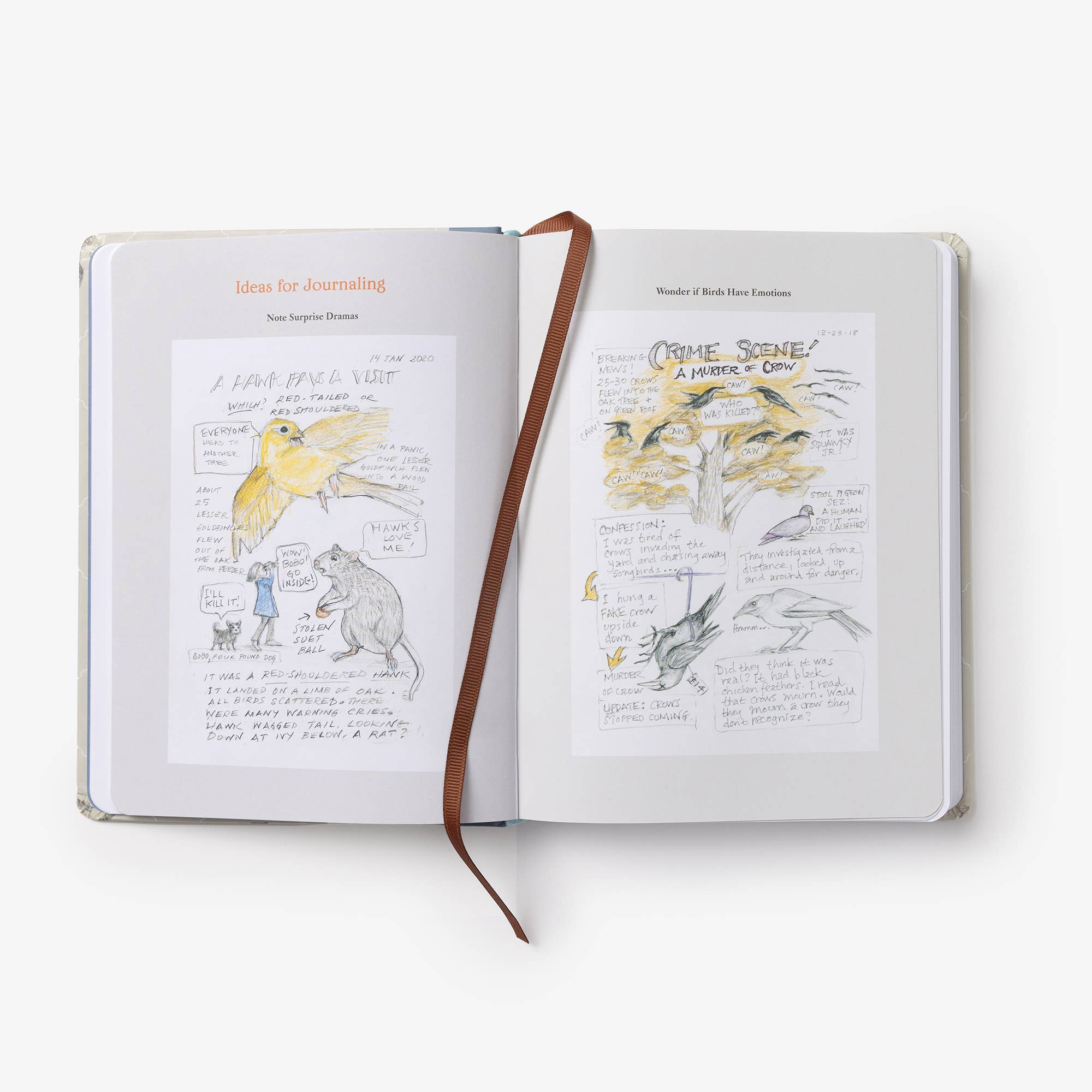 Backyard Bird Journal
