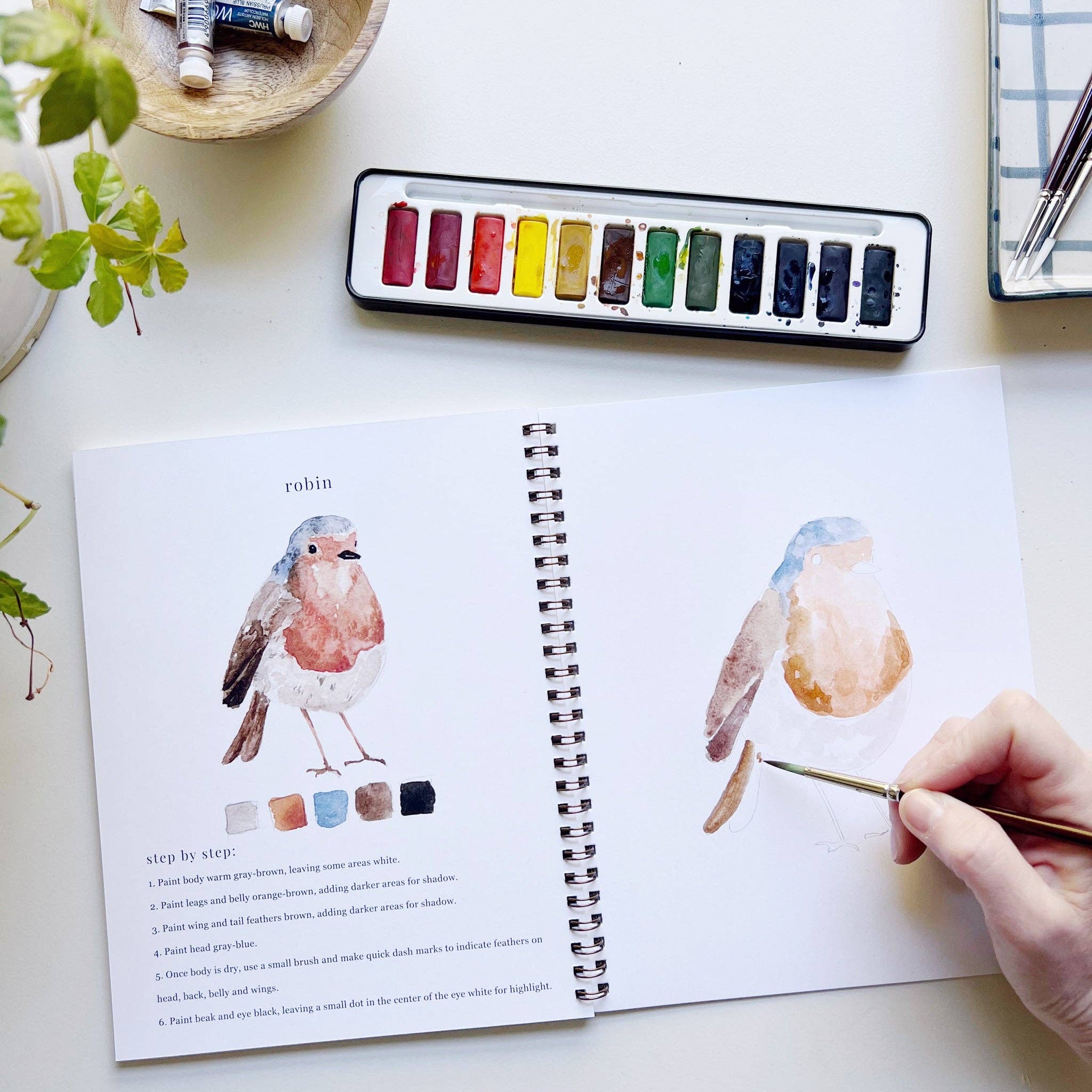 Birds Watercolor Workbook by Emily Lex