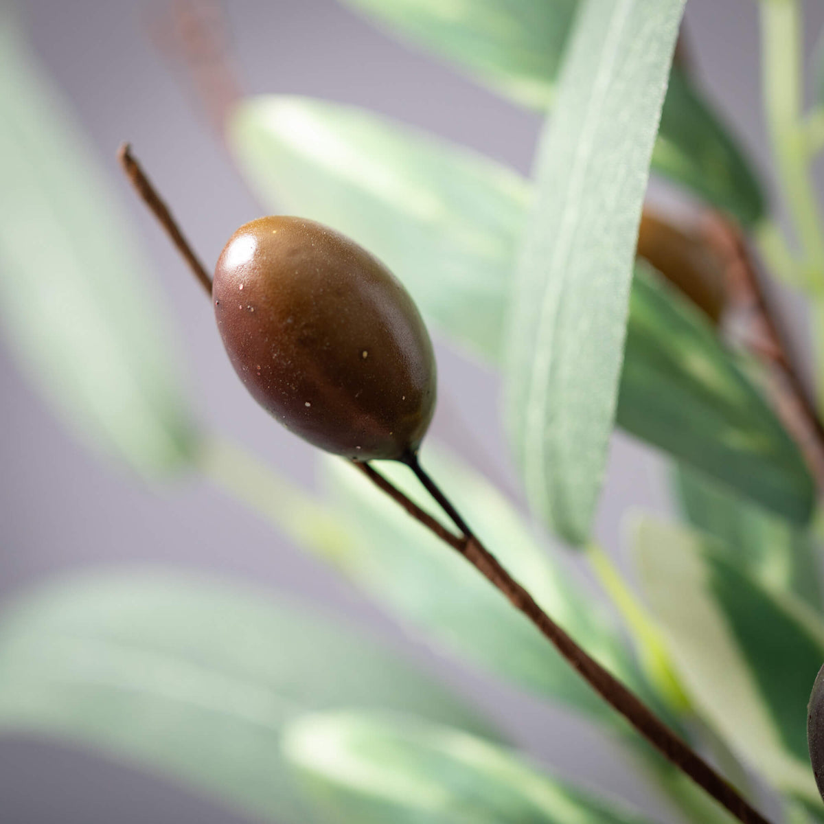 Olive Leaf Pick